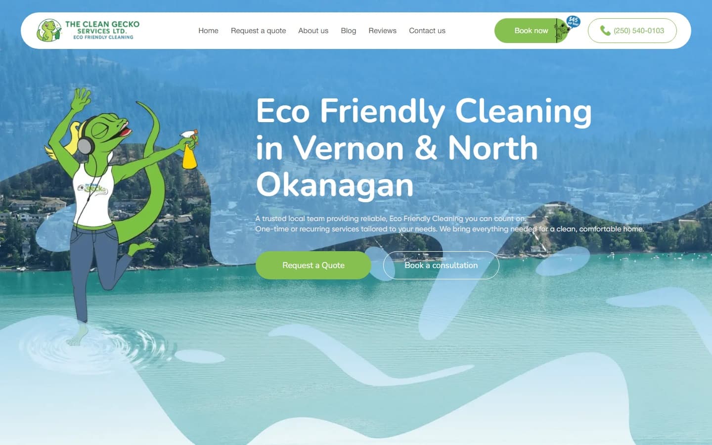 The Clean Gecko website screenshot